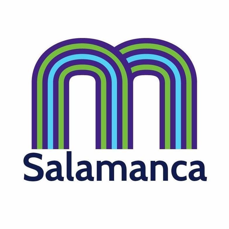Avatar: mSoluciona Salamanca