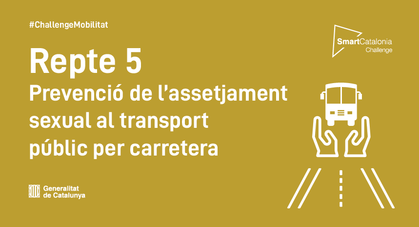 CALL 5: TO PREVENT SEXUAL HARASSMENT IN THE PUBLIC ROAD TRANSPORT NETWORK