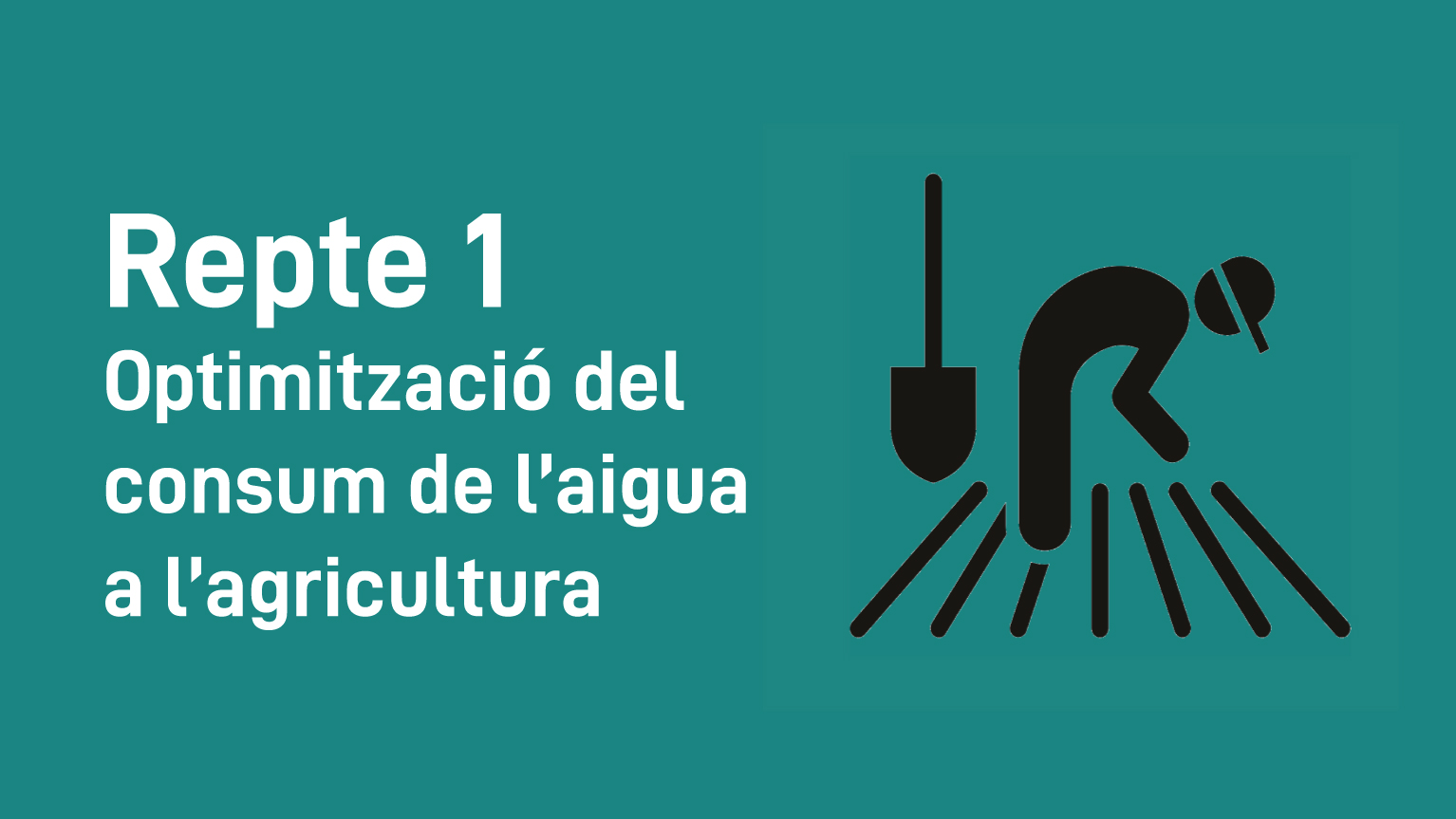 Repte 1: Optimització del consum de l&#39;aigua a l&#39;agricultura